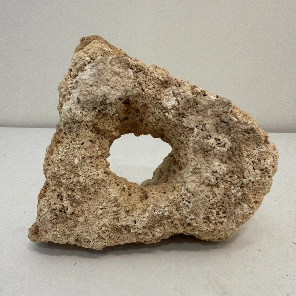 CORAL 8